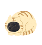 ゆずちゃんのあいさつ（個別スタンプ：5）