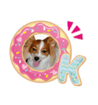 Papillon dog stamps（個別スタンプ：24）