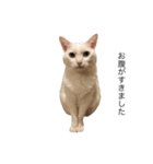 たろう詰めあわせ（個別スタンプ：4）