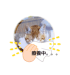 shizukunya（個別スタンプ：9）
