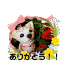 shizukunya（個別スタンプ：13）