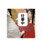 ももあんどもも（個別スタンプ：5）