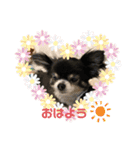パンちゃん♥️F（個別スタンプ：3）