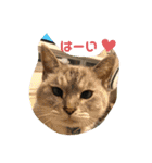 パンちゃん♥️F（個別スタンプ：7）