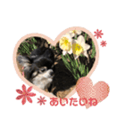 パンちゃん♥️F（個別スタンプ：9）