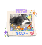 パンちゃん♥️F（個別スタンプ：13）