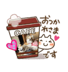 レオ君とモモコちゃんpart2（個別スタンプ：13）