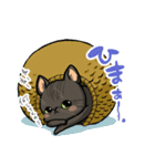 猫の小太郎ちゃん（個別スタンプ：7）