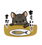 猫の小太郎ちゃん（個別スタンプ：9）