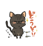 猫の小太郎ちゃん（個別スタンプ：11）