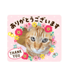 ぐり坊（個別スタンプ：2）