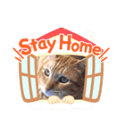 ぐり坊（個別スタンプ：4）