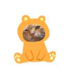 ぐり坊（個別スタンプ：8）