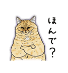 世にも不思議な猫世界～関西弁編～（個別スタンプ：12）