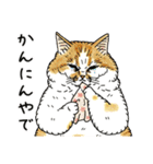 世にも不思議な猫世界～関西弁編～（個別スタンプ：31）