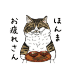 世にも不思議な猫世界～関西弁編～（個別スタンプ：35）