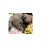 コ・ロ・ン（個別スタンプ：3）