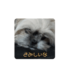 コ・ロ・ン（個別スタンプ：7）