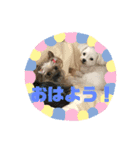 小助＆華のあいさつ（個別スタンプ：2）
