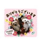 小助＆華のあいさつ（個別スタンプ：6）