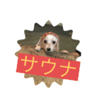 マルプーBB ❤︎（個別スタンプ：24）