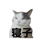 INU★JIRO（個別スタンプ：1）