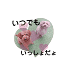 May＆Cocoa（個別スタンプ：2）