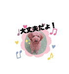 May＆Cocoa（個別スタンプ：10）
