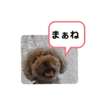 May＆Cocoa（個別スタンプ：14）