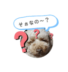 May＆Cocoa（個別スタンプ：16）