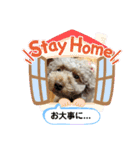 May＆Cocoa（個別スタンプ：18）