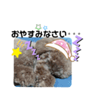 May＆Cocoa（個別スタンプ：23）