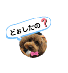 May＆Cocoa（個別スタンプ：24）