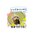 May＆Cocoa（個別スタンプ：32）