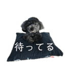 ソ ラ（個別スタンプ：6）