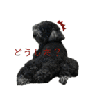 ソ ラ（個別スタンプ：7）