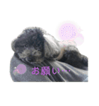 ソ ラ（個別スタンプ：14）