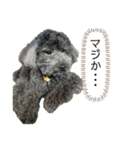 ソ ラ（個別スタンプ：15）