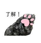 ソ ラ（個別スタンプ：17）