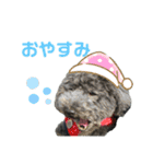 ソ ラ（個別スタンプ：21）
