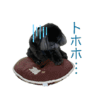 ソ ラ（個別スタンプ：26）