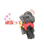 ソ ラ（個別スタンプ：31）