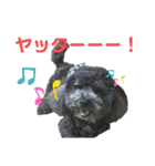 ソ ラ（個別スタンプ：32）