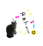 ふぅさん②（個別スタンプ：9）