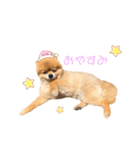 小太郎がいっぱい（個別スタンプ：3）
