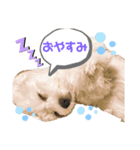 ピコのスタンプ1（個別スタンプ：2）
