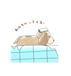 ティッシュケースの日常（個別スタンプ：7）