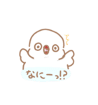 ゆるふわ文鳥さんスタンプ（個別スタンプ：19）