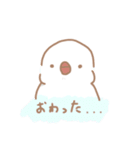 ゆるふわ文鳥さんスタンプ（個別スタンプ：20）