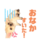 サダハルです。（個別スタンプ：3）